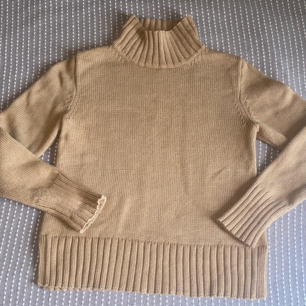 Rollneck/turtle sweater j crew!